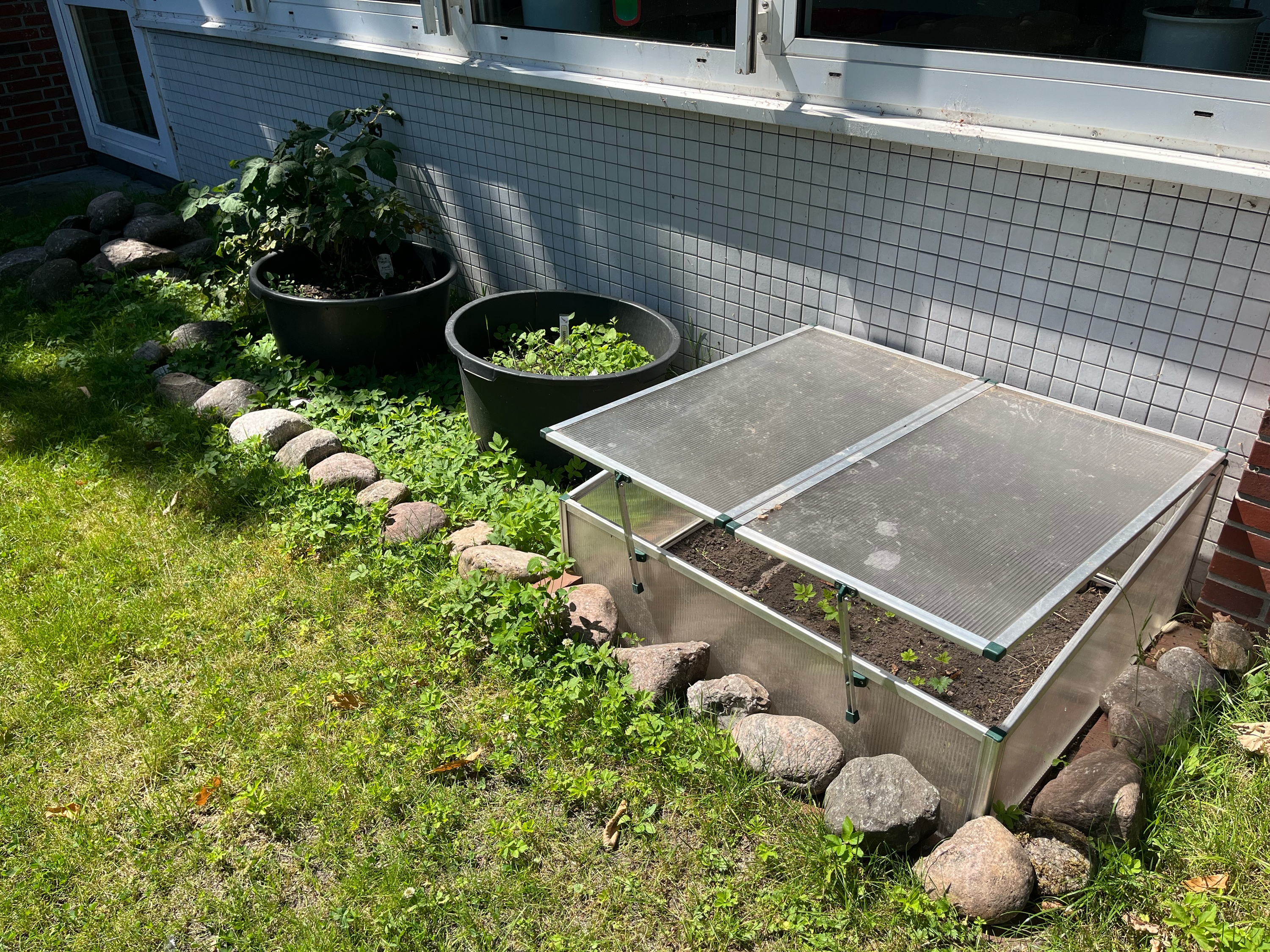 Mini-Gewächshäuser im Schulgarten