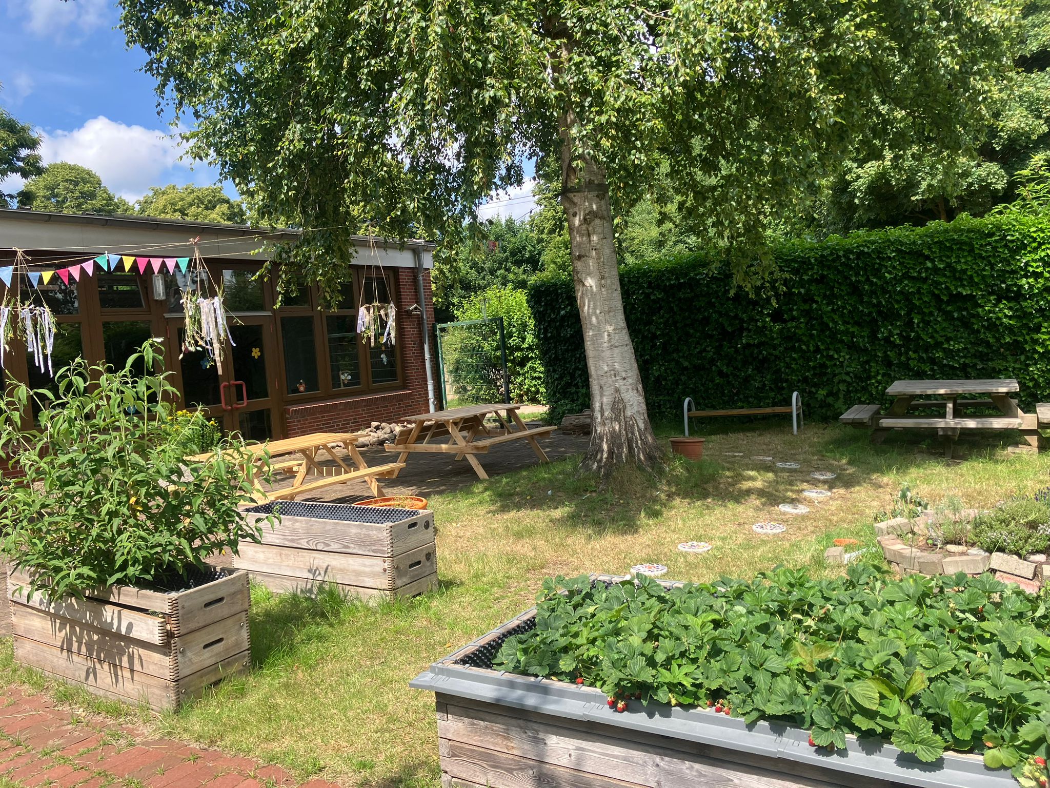 Ein Überblick über die Beete im Schulgarten